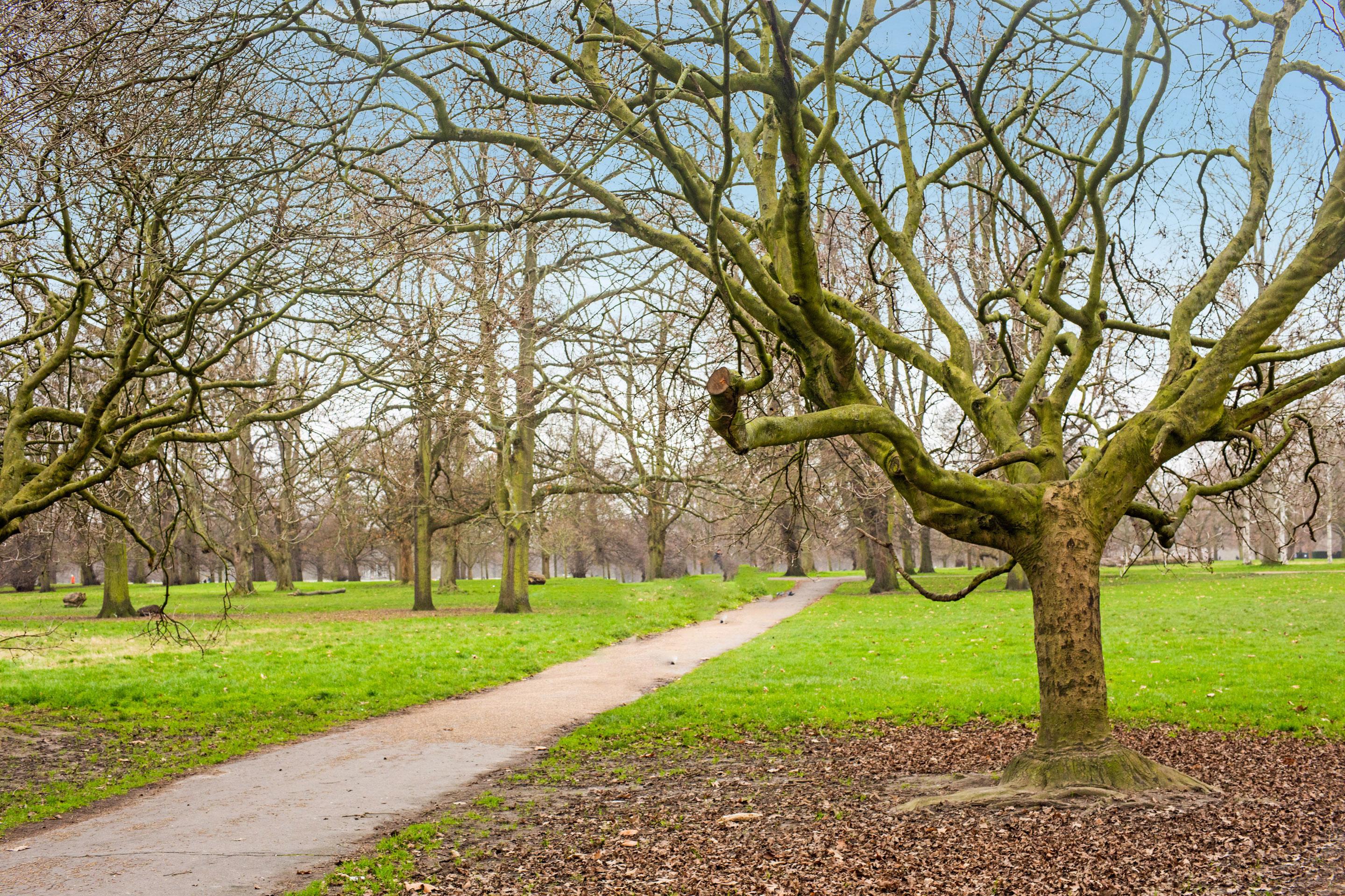 Townhouse Apollo, Hyde Park Londres Exterior foto