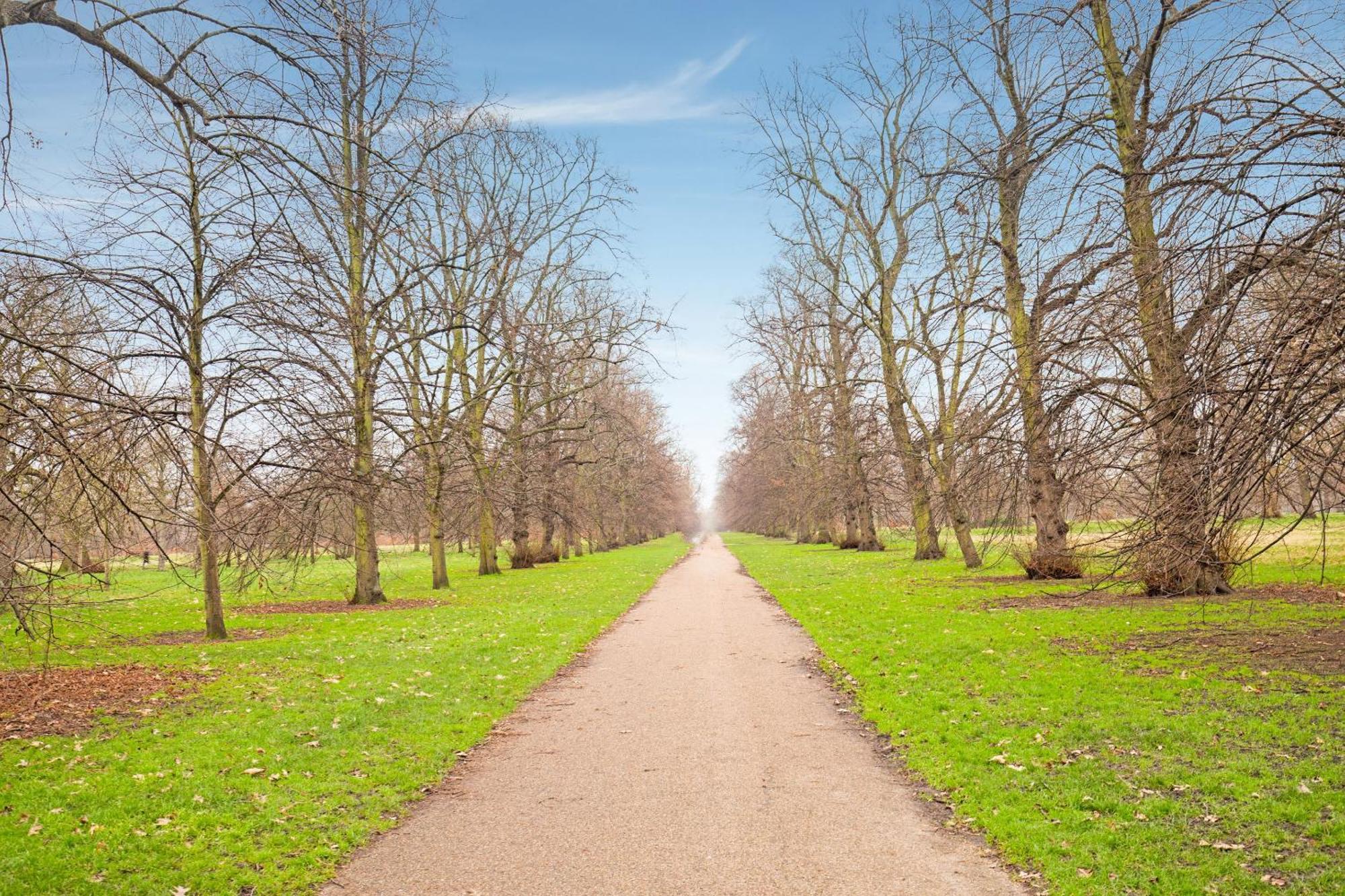 Townhouse Apollo, Hyde Park Londres Exterior foto